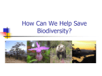 How Can We Help Save Biodiversity
