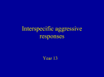 Interspecific aggressive responses