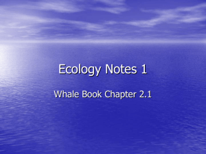Ecology Notes 1