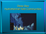 The Deep Sea Benthos and Hydrothermal Vents