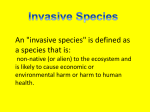 Riparian Zone Invasive Species