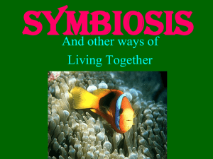 Which type of symbiosis is it?