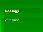 Ecology - My CCSD