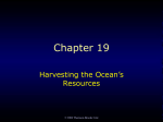 2006 Thomson-Brooks Cole Chapter 19 Harvesting the Ocean`s