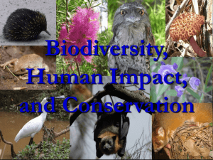 Biodiversity, Human Impact, and Conservation