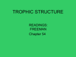 TROPHIC STRUCTURE