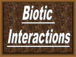 Biotic Interaction