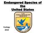 Endangered species US
