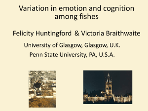 Variation in emotion and cognition among fishes Felicity Huntingford