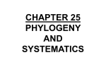 chapter 25 phylogeny and systematics