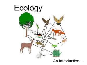 Ecology