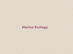 Chapter 9 Marine Ecology