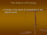 The Nature of Ecology