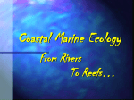 Coastal Marine Ecology - Artifact2