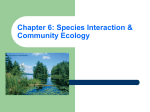 Ch 6: Community Ecology