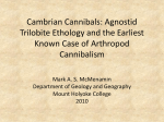 Cambrian Cannibals: Agnostid Trilobite Ethology and the Earliest