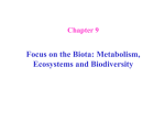 Chapter 9: Focus on the Biota – ppt