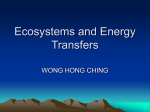 Ecosystems and Energy Transfers2