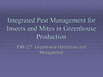 Integrated Pest Management for Greenhouse Production