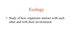 Ecology