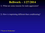 Bellwork – 1/27/2014