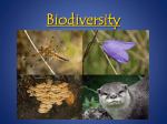 Biodiversity - My Teacher Pages