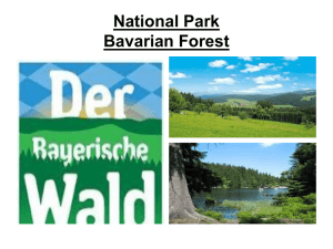 National Park Bavarian Forest