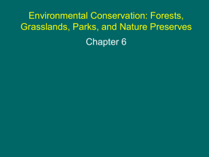 PowerPoint Presentation - Understanding Our Environment