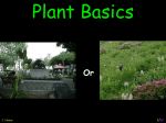 ERH 5 Plant Basics - Critical Practices LLC