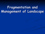 Fragmentation in Landscape -Review & Methods-