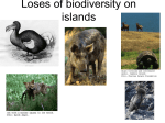 Island Biogeography - University of Windsor