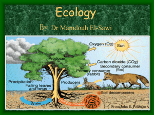 Tropical Rain Forests