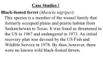 Case Studies I: ferrets, cheetahs, spotted owl