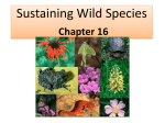 Sustaining Wild Species2