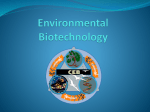 Environmental Biotechnology