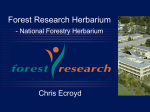 National Forestry Herbarium - Nationally Significant Databases