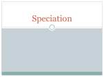 Speciation ppt speciation ppt