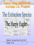 The Body Structure of Harpy Eagles