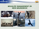 WHY MANAGE WILDLIFE?