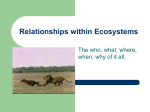 Interspecies Relationships