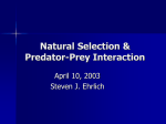 Natural Selection & Predator