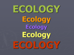 Ecology notes - Sterlingmontessoriscience