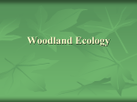 Woodland_Ecology