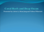 5th Deep Oceans and Coral Reefs