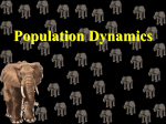 Population Dynamics Notes