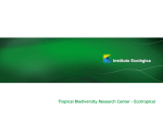 Project Presentation - Instituto Ecológica