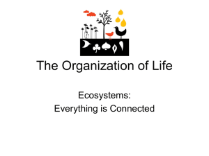 The Organization of Life