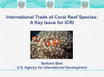 Presentation (PPT File - 3020 KB) - International Coral Reef Initiative
