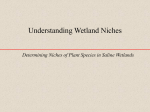 Understanding Wetland Niches