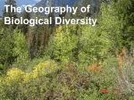 Biogeography VI